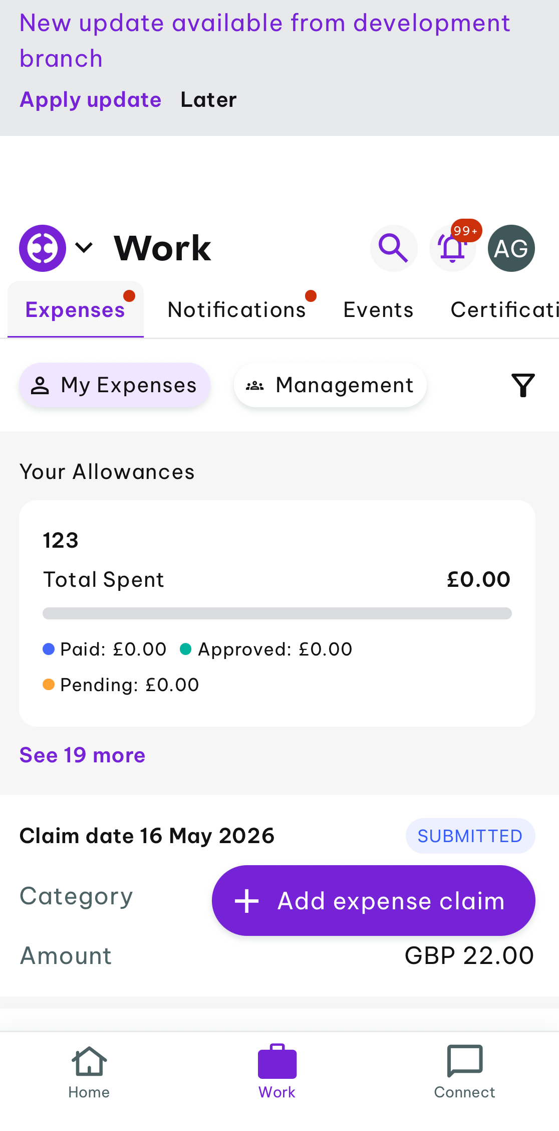 Condensed expense allowance card layout section display on the mobile app home viewport